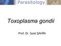 Toxoplasma gondii Prof. Dr. İzzet ŞAHİN.