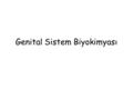 Genital Sistem Biyokimyası. 1- Erkek Genital Sistem Biyokimyası 1.a. İsimlendirme 1.b. Embriyonel Gelişim 1.c. Püberte 1.d. Üreme Çağı 1.e. Laboratuvar.