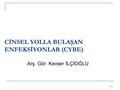 CİNSEL YOLLA BULAŞAN ENFEKSİYONLAR (CYBE)