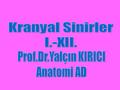 Kranyal Sinirler I.-XII. Prof.Dr.Yalçın KIRICI Anatomi AD.