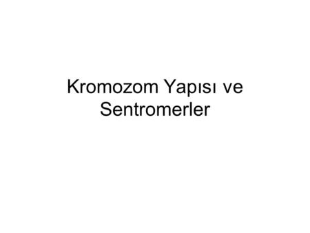 Kromozom Yapısı ve Sentromerler