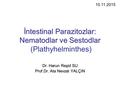 İntestinal Parazitozlar: Nematodlar ve Sestodlar (Plathyhelminthes)