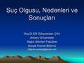 Suç Olgusu, Nedenleri ve Sonuçları