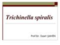 Trichinella spiralis Prof.Dr. İzzet ŞAHİN.