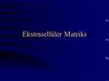 Ekstrasellüler Matriks