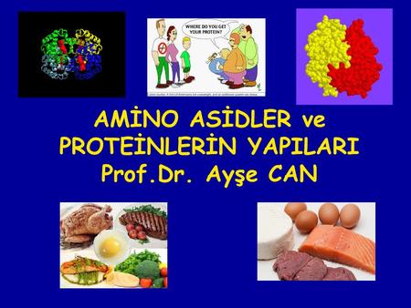 AMİNO ASİDLER ve PROTEİNLERİN YAPILARI Prof.Dr. Ayşe CAN.