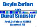 Beyin Zarları ve Dural Sinüsler Prof.Dr.Yalçın KIRICI Anatomi AD 1.