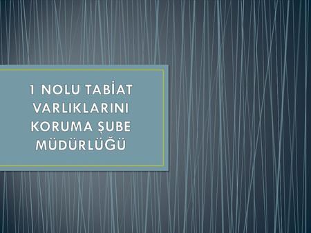 Şubemiz; 17.08.2011 tarih ve 28028 sayılı resmi gazetede yayınlanarak yürürlü ğ e giren 648 sayılı “ Çevre ve Şehircilik Bakanlı ğ ının Teşkilat ve Görevleri.