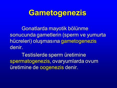 Gametogenezis Gonatlarda mayotik bölünme sonucunda gametlerin (sperm ve yumurta hücreleri) oluşmasına gametogenezis denir. Testislerde sperm üretimine.