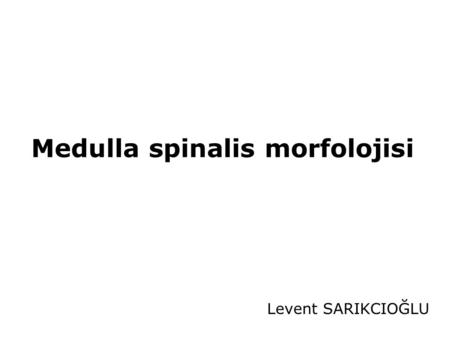 Medulla spinalis morfolojisi