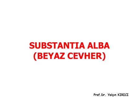 SUBSTANTIA ALBA (BEYAZ CEVHER)