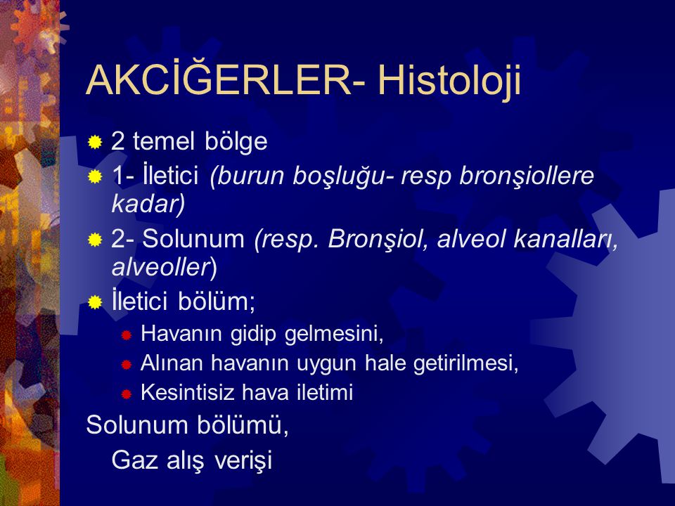 Akcigerler Histoloji Ppt Indir