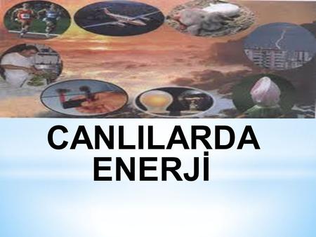 CANLILARDA ENERJİ.