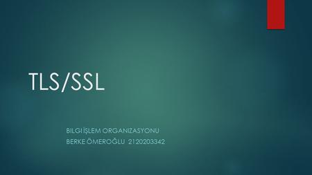 TLS/SSL BILGI İŞLEM ORGANIZASYONU BERKE ÖMEROĞLU 2120203342.