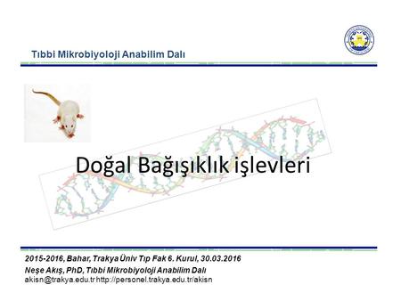 Doğal Bağışıklık işlevleri