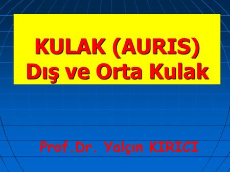 KULAK (AURIS) Dış ve Orta Kulak