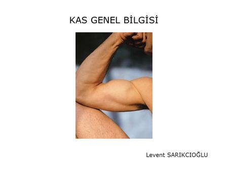 KAS GENEL BİLGİSİ Levent SARIKCIOĞLU.