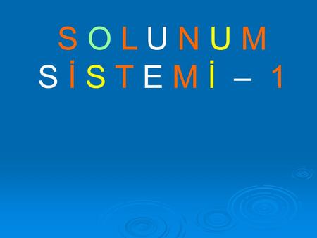 S O L U N U M S İ S T E M İ – 1. SOLUNUM SİSTEMİ Hayvanlar hücresel solunumda, mitokondri reaksiyonlarında oksijen kullanıp, karbondioksit üretirler.