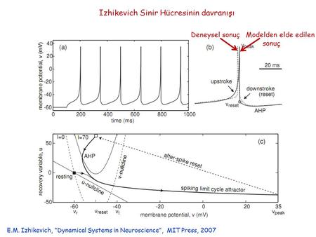 Izhikevich Sinir Hücresinin davranışı Deneysel sonuçModelden elde edilen sonuç E.M. Izhikevich, “Dynamical Systems in Neuroscience”, MIT Press, 2007.