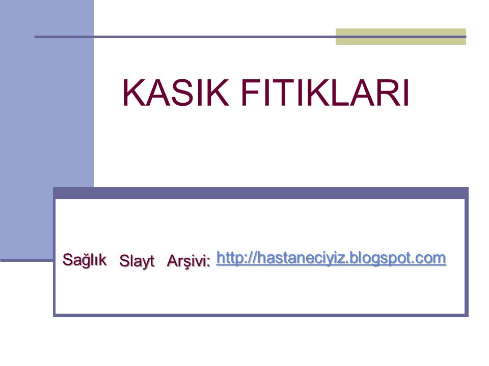 Kasik Fitiklari Saglik Slayt Arsivi Ppt Video Online Indir