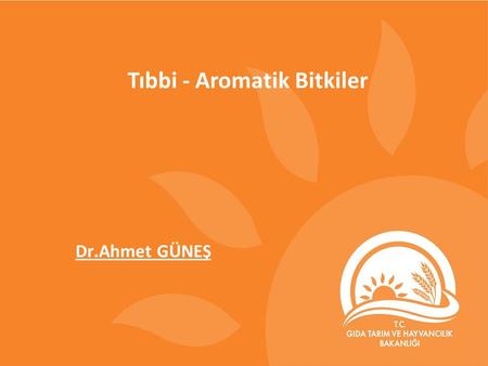 Tıbbi - Aromatik Bitkiler