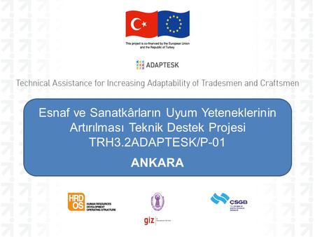 Esnaf ve Sanatkârların Uyum Yeteneklerinin Artırılması Teknik Destek Projesi TRH3.2ADAPTESK/P-01 ANKARA.