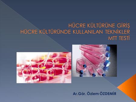 HÜCRE KÜLTÜRÜNE GİRİŞ HÜCRE KÜLTÜRÜNDE KULLANILAN TEKNİKLER MTT TESTİ