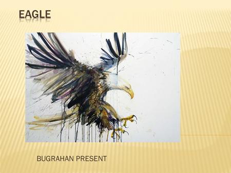 BUGRAHAN PRESENT. Eagle is a common name for many large birds of prey of the family Accipitridae; it belongs to several groups of genera that are not.
