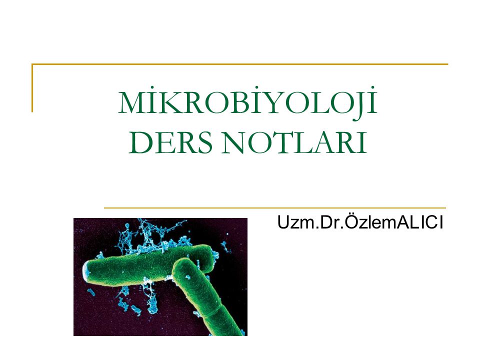 Mikrobiyoloji Ders Notlari Ppt Video Online Indir