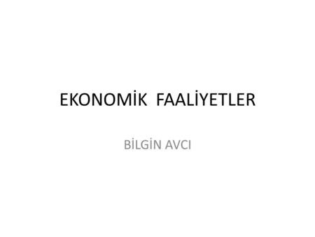 EKONOMİK FAALİYETLER BİLGİN AVCI.