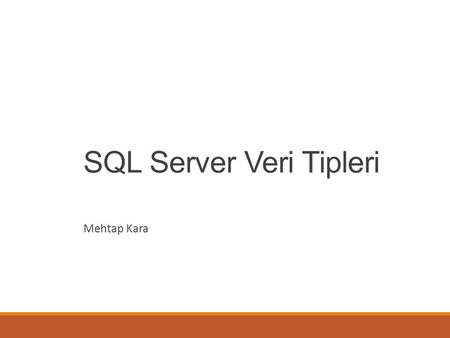 SQL Server Veri Tipleri
