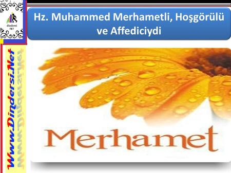 Hz. Muhammed Merhametli, Hoşgörülü ve Affediciydi