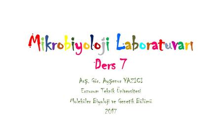 Mikrobiyoloji Laboratuvarı Ders 7