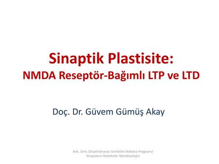 Sinaptik Plastisite: NMDA Reseptör-Bağımlı LTP ve LTD
