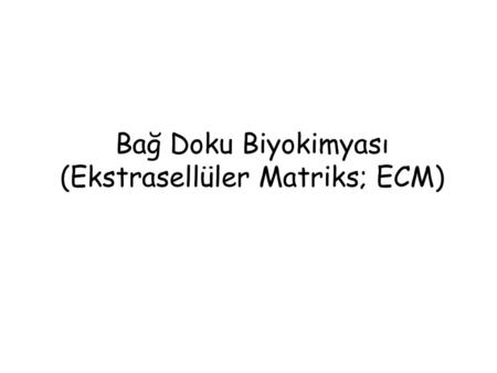 Bağ Doku Biyokimyası (Ekstrasellüler Matriks; ECM)