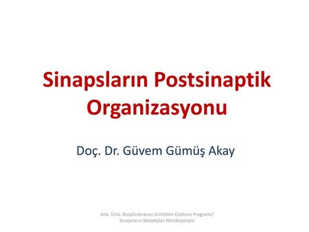 Sinapsların Postsinaptik Organizasyonu