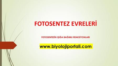 FOTOSENTEZİN IŞIĞA BAĞIMLI REAKSİYONLARI