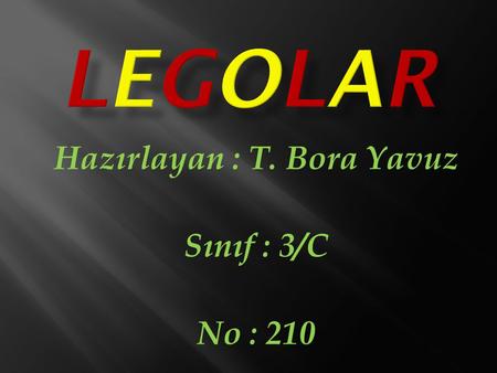Hazırlayan : T. Bora Yavuz Sınıf : 3/C No : 210