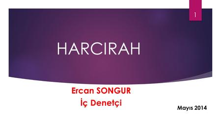 HARCIRAH Ercan SONGUR İç Denetçi Mayıs 2014.
