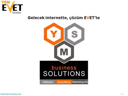 - 1 - Gelecek internette, çözüm EVET’te SoftwareConsultancy Marketing Aid.