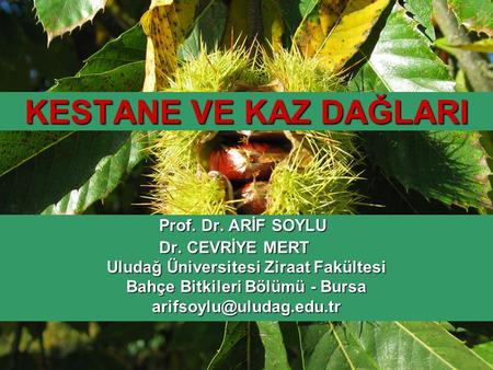 Uludağ Üniversitesi Ziraat Fakültesi Bahçe Bitkileri Bölümü - Bursa