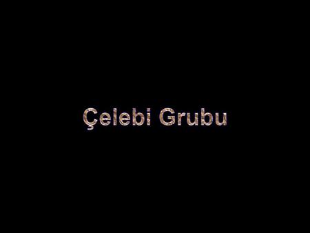 Çelebi Grubu.