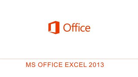 MS OFFICE EXCEL 2013.