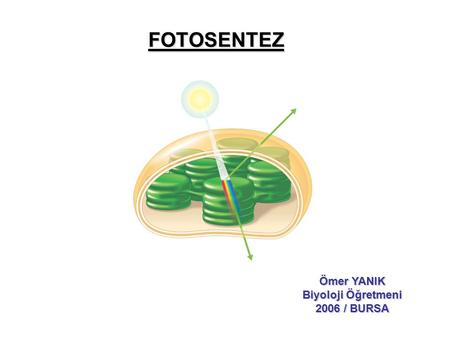 FOTOSENTEZ Ömer YANIK Biyoloji Öğretmeni 2006 / BURSA.