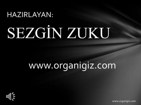 HAZIRLAYAN: SEZGİN ZUKU www.organigiz.com www.organigiz.com.