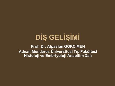 Prof. Dr. Alpaslan GÖKÇİMEN
