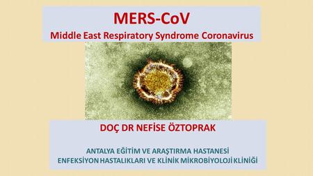 MERS-CoV Middle East Respiratory Syndrome Coronavirus