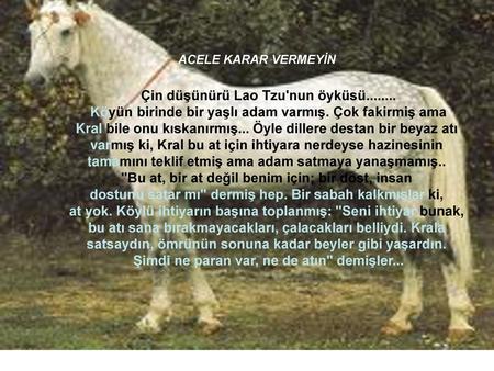 Çin düşünürü Lao Tzu'nun öyküsü