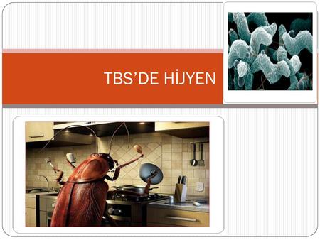 TBS’DE HİJYEN.