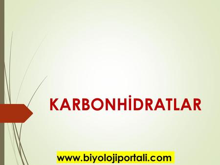 KARBONHİDRATLAR www.biyolojiportali.com.